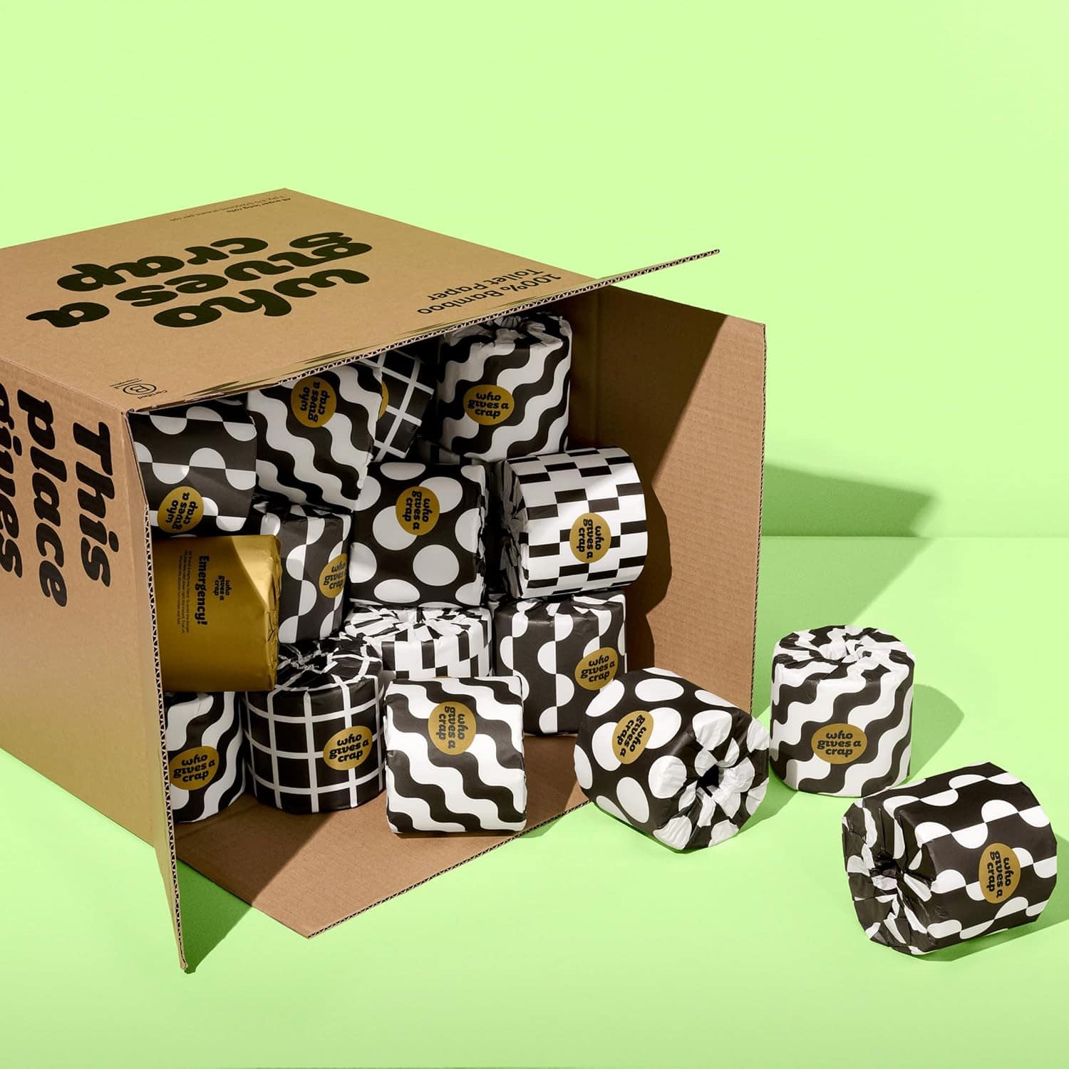 Bamboo Toilet Paper (48 rolls)