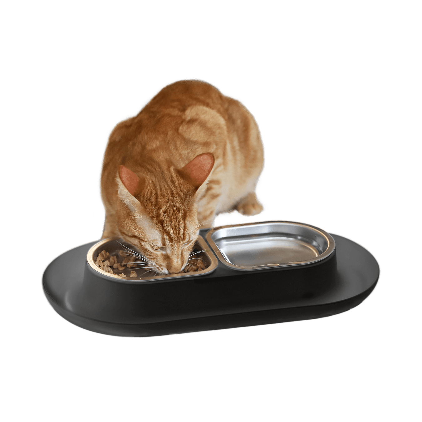 Stainless Steel Dog Bowl (set of 2)
